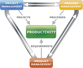 Business Process Management Productivity Triangle